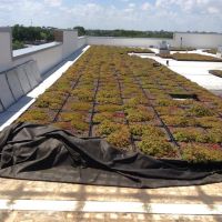 O'Hara's Son Roofing Company ico