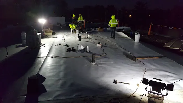 Better Home Picture 3