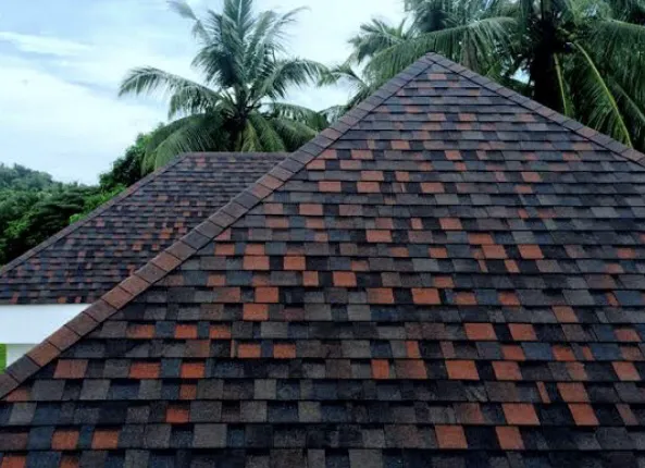 Roofing Repair Guy Skokie Picture 2