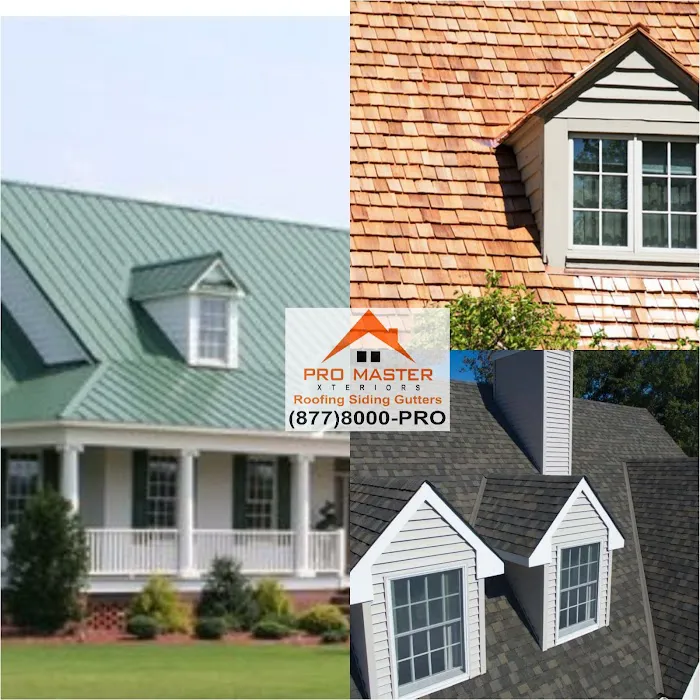 Pro Master Xteriors Picture 2