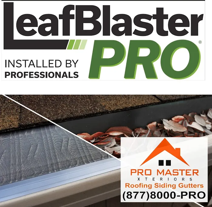 Pro Master Xteriors Picture 8