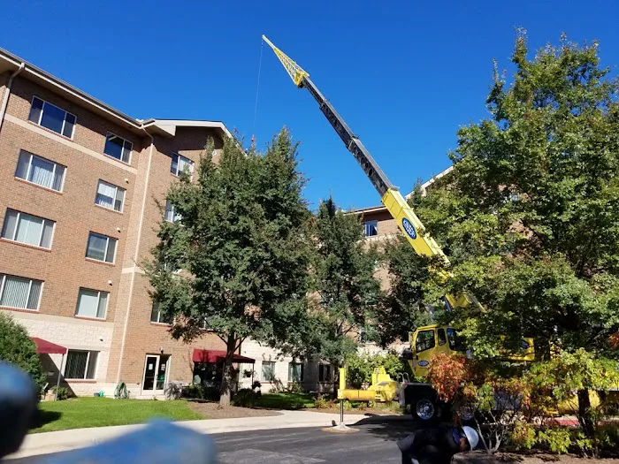 M&T Exteriors, Inc. Picture 5