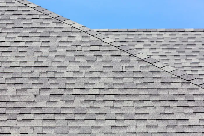 Xpert Roofers Group Picture 2