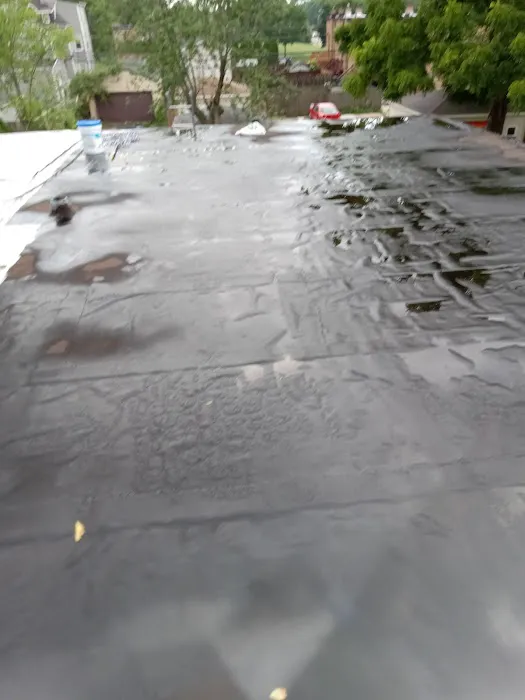 Roofing and tuckpointing maintence Picture 2