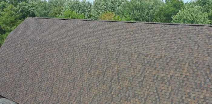 ACE Roofing Services, Inc. Picture 2