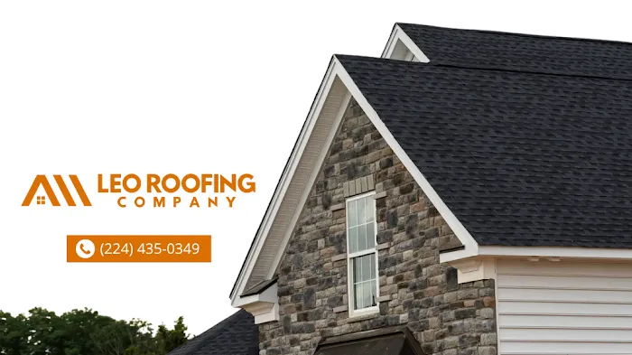 LEO Roofing Company Picture 2