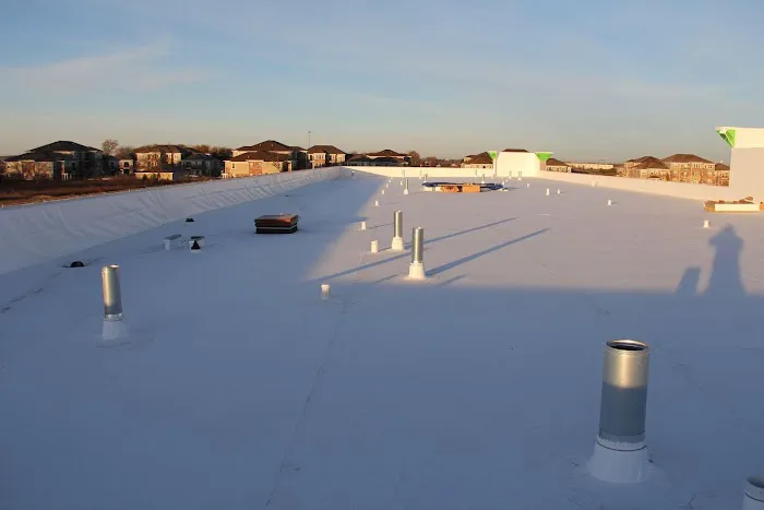 Dynamic Exteriors, Inc Picture 1