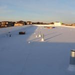 Dynamic Exteriors, Inc