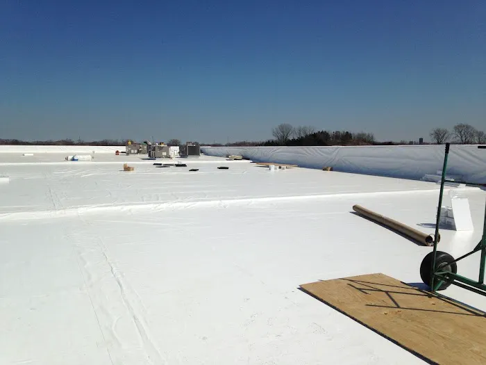 Dynamic Exteriors, Inc Picture 9