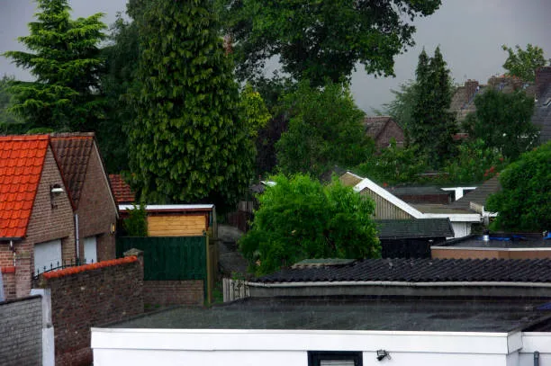 Tedora Roofing Solutions Picture 5