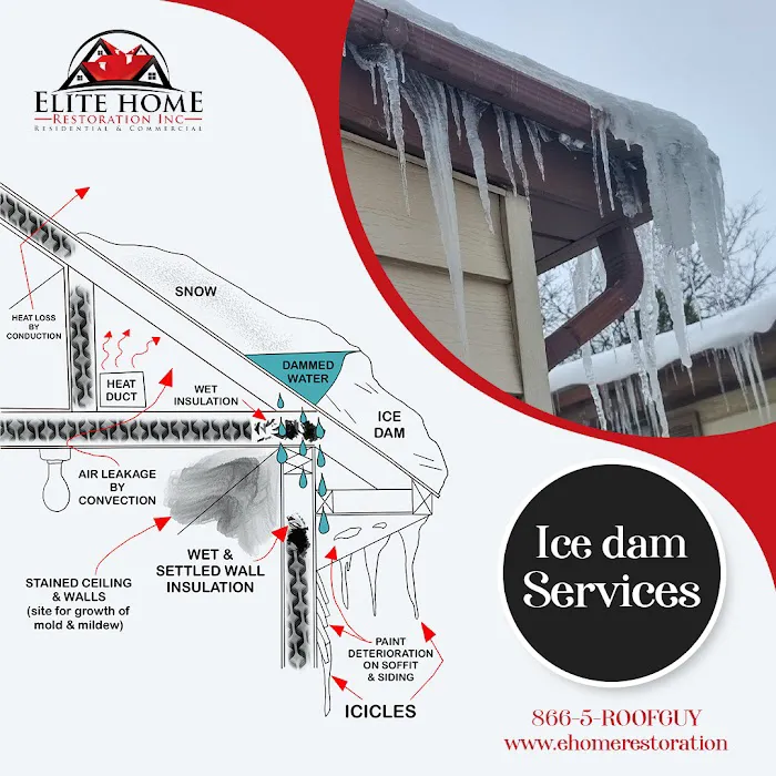 Elite Home Restoration Picture 3