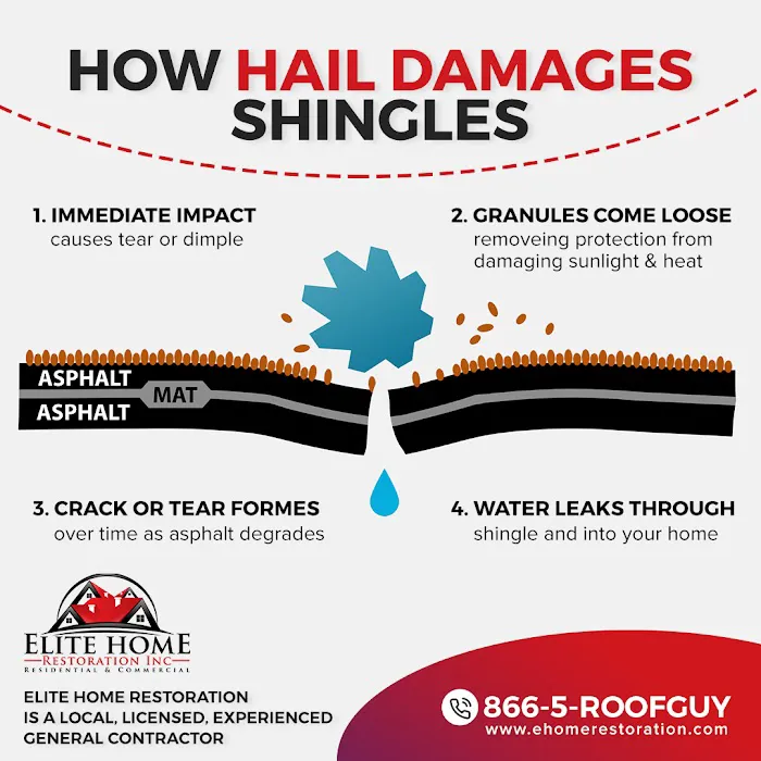 Elite Home Restoration Picture 7