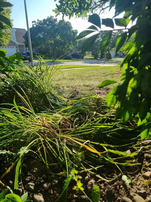 Nico Roofing & Exteriors Picture 7