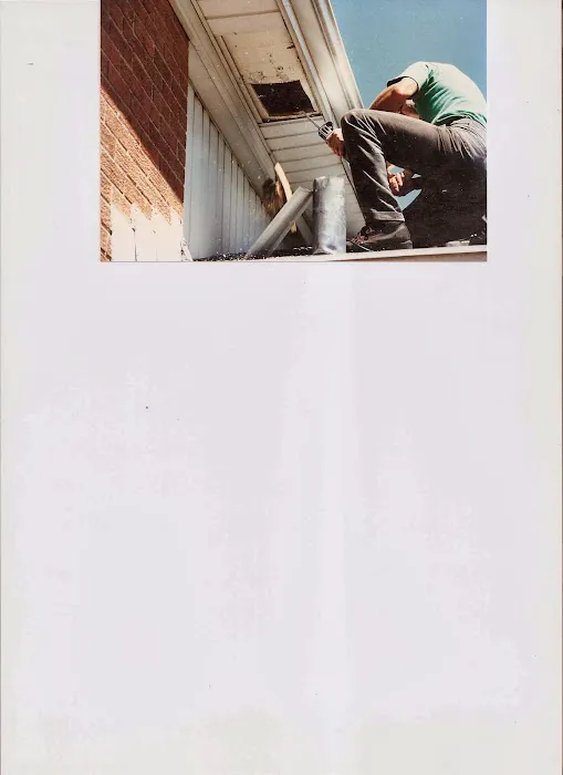 Regal Roofing Services Picture 8