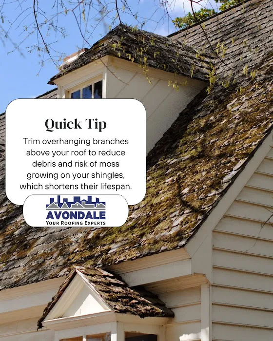 Avondale Roofing Picture 1