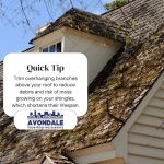 Avondale Roofing