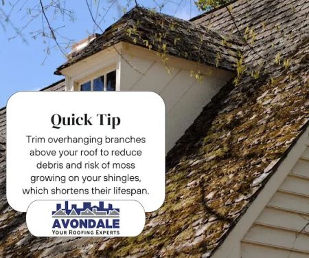 Avondale Roofing
