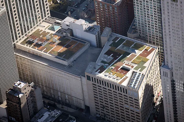 Riddiford Roofing Co Picture 2