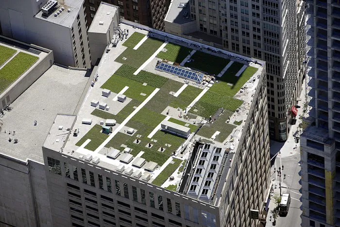 Riddiford Roofing Co Picture 1