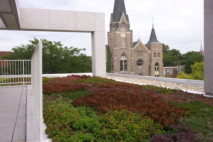 Riddiford Roofing Co Picture 4