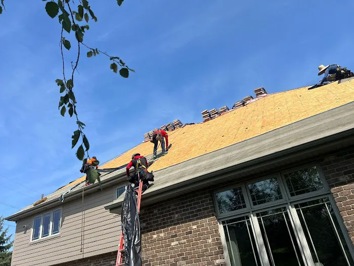 FIRST RESTORATION SERVICES Picture 1