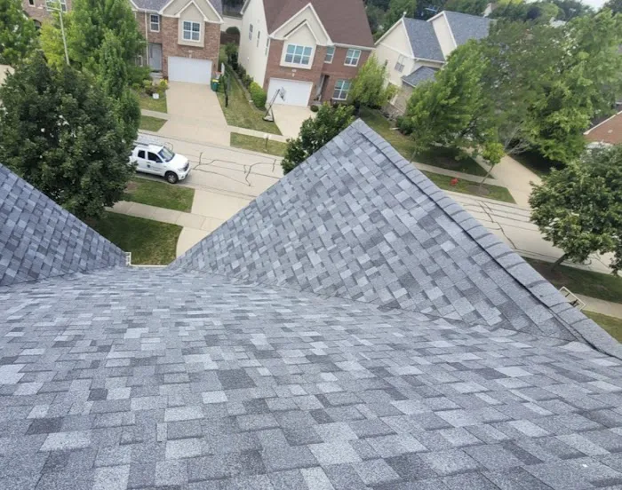 Evergreen Renovation Picture 1