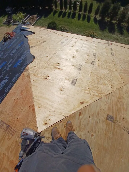 Flores Enterprises Inc. Picture 9