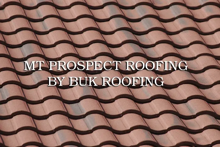 Mt Prospect Roofing Company Picture 1