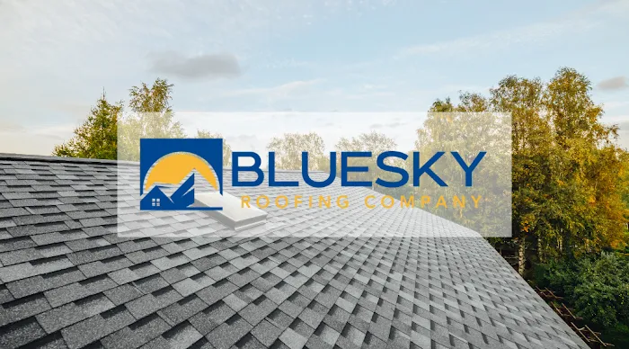 BlueSky Roofing Company Picture 3