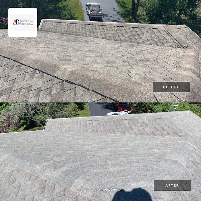 American Restoration Group Inc. Picture 2