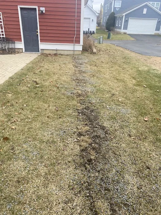 Phoenix Exteriors Roofing & Solar Picture 6