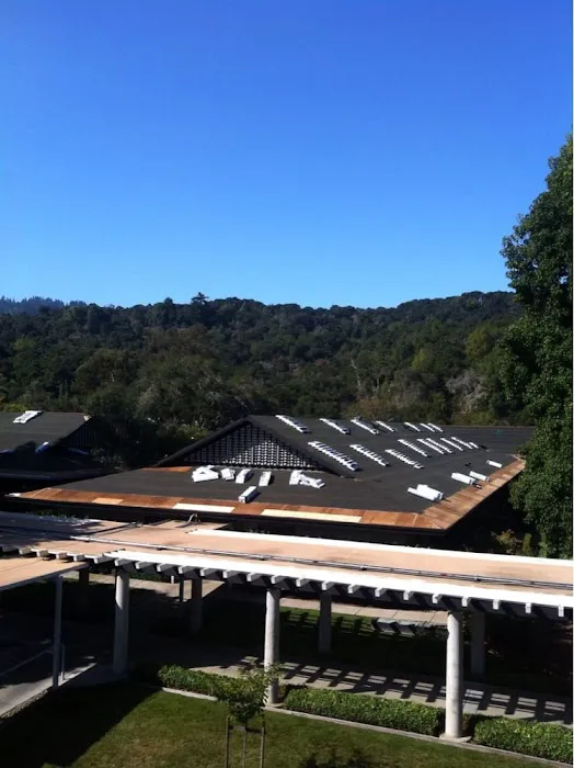 Pearson Roof Repairs Picture 1