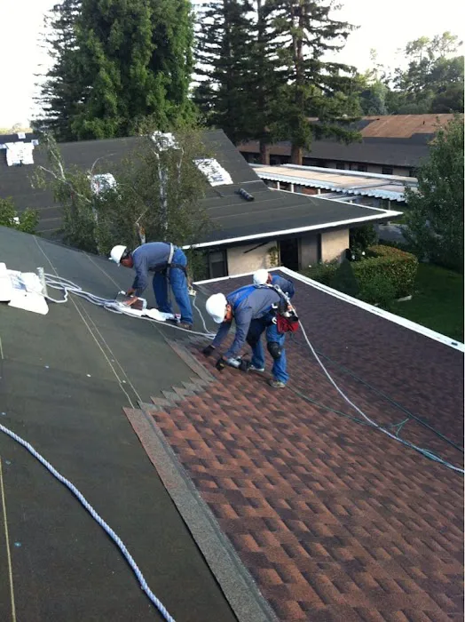 Pearson Roof Repairs Picture 2