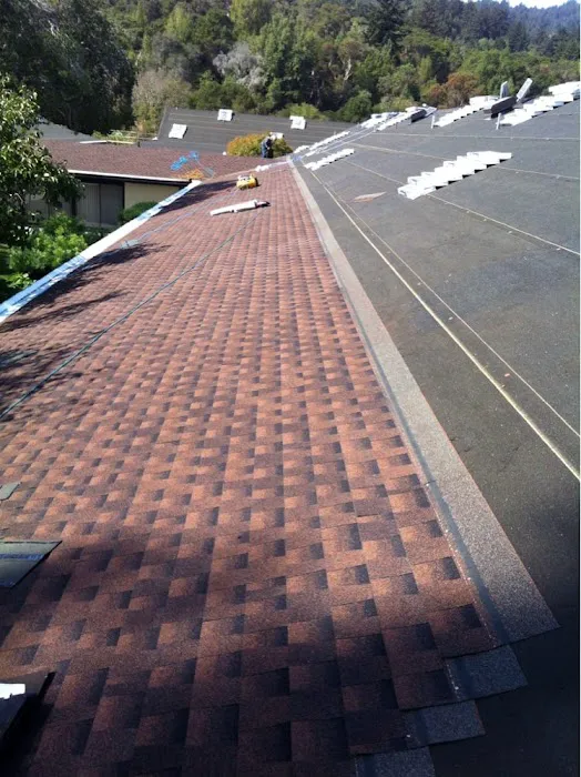 Pearson Roof Repairs Picture 4