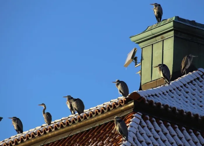 Len Roofing & Remodeling Picture 10