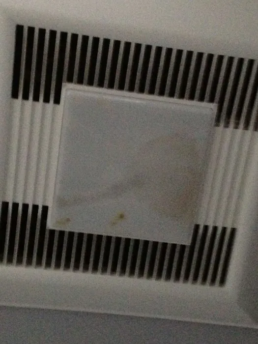 GL Roofing Picture 9