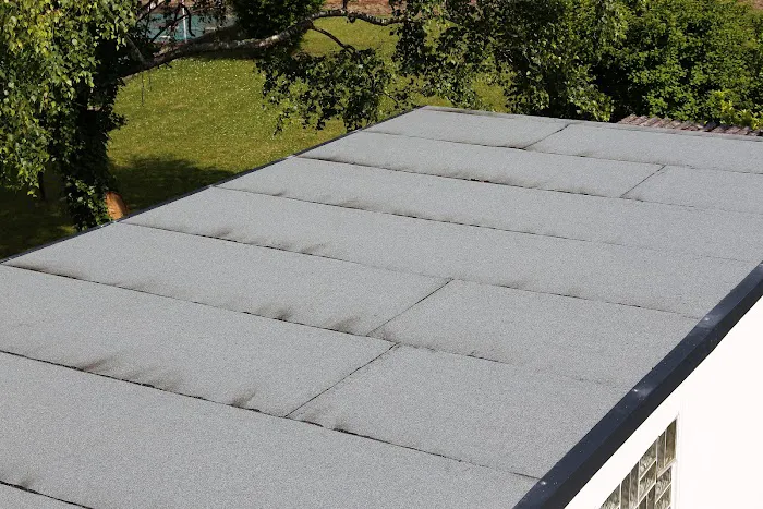 CPTV Roofing Picture 4