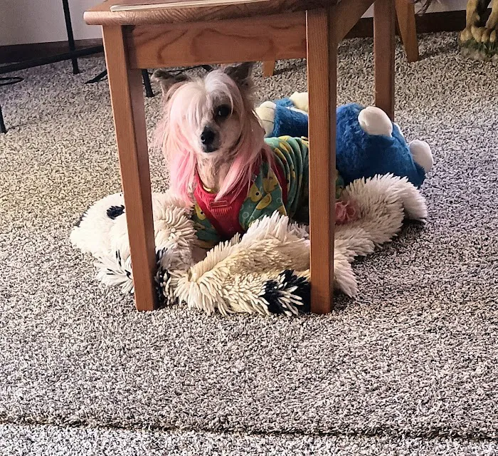 Suburban Midwest Roofing - Chicago Roofing Company Picture 2