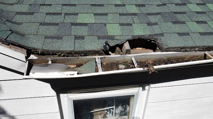 Majestic Exteriors Unlimited Picture 4