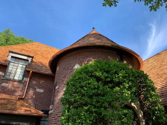 Avona & Son Picture 4