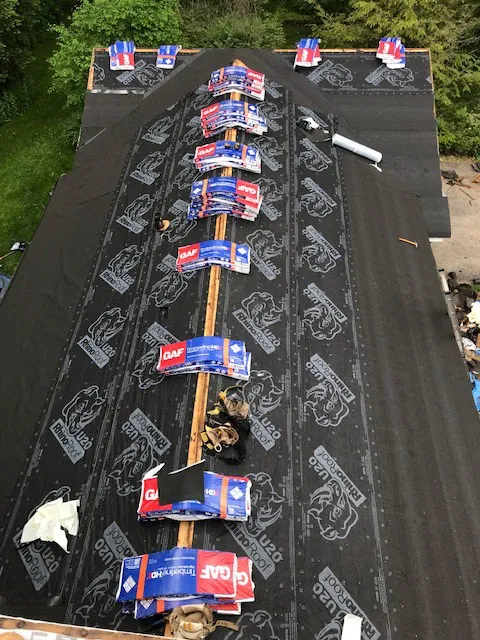 Avona & Son Picture 5