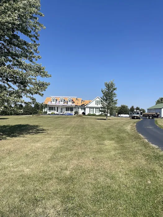 Northern Restoration Picture 3