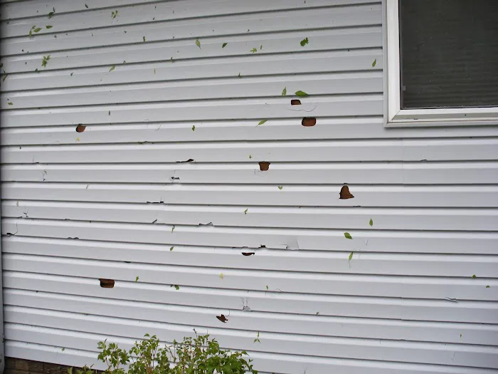 Highmark Restorations Picture 10