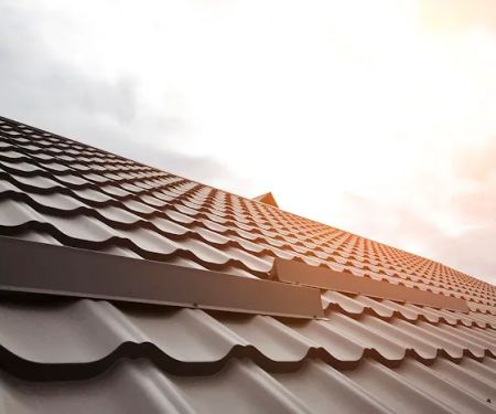 Roofing Guy Palatine