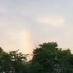 S & S Roof Maintenance Inc