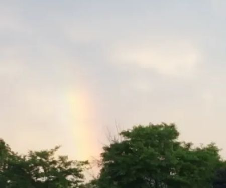 S & S Roof Maintenance Inc