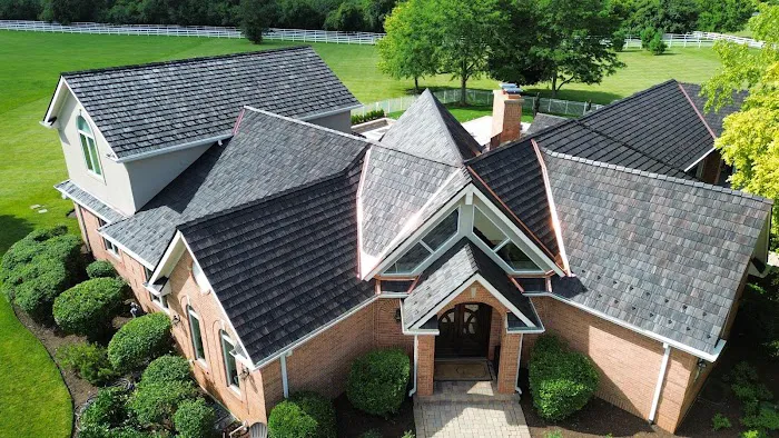 Shake Guys Picture 4