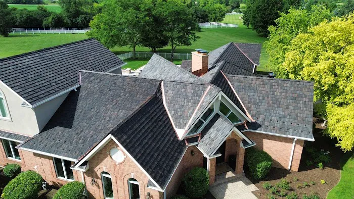 Shake Guys Picture 6