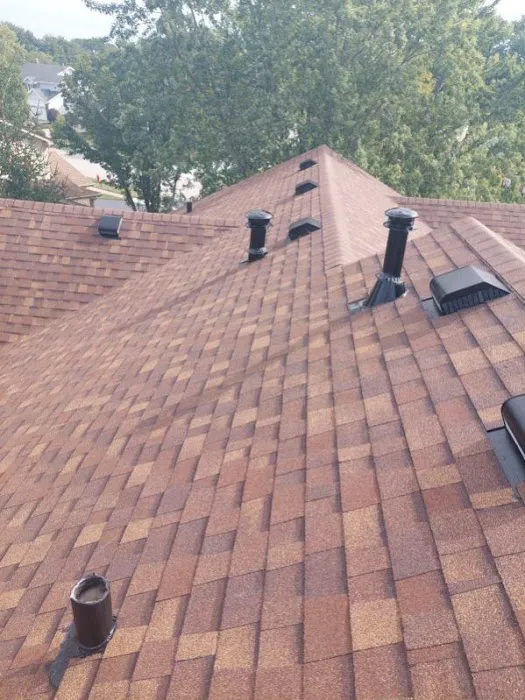 Mighty Dog Roofing of Northwest Chicago Picture 2