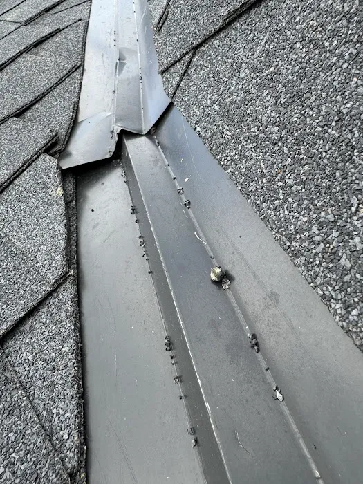 ECS Roofing Picture 1
